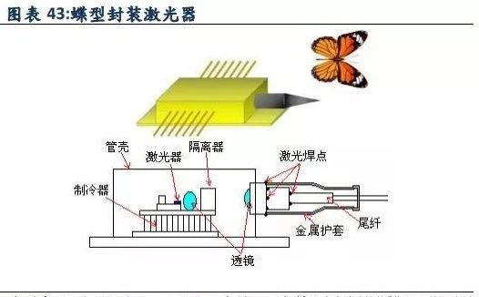 Optical Device Packaging Process 2