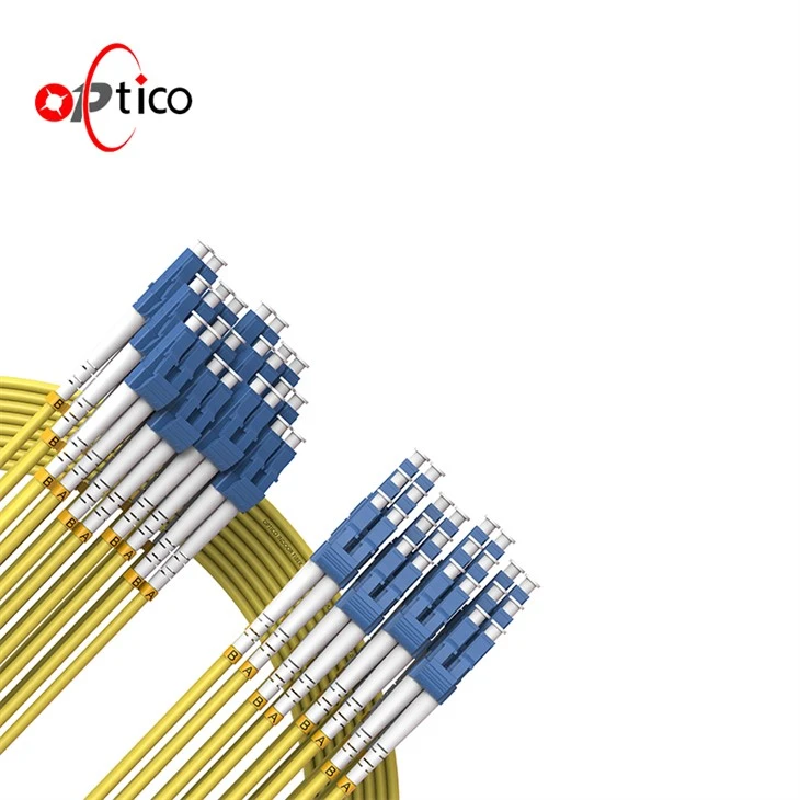 24 Cores LC To LC Bundle Fiber Patch Cord 24 Cores LC To LC Bundle Fiber Patch Cord